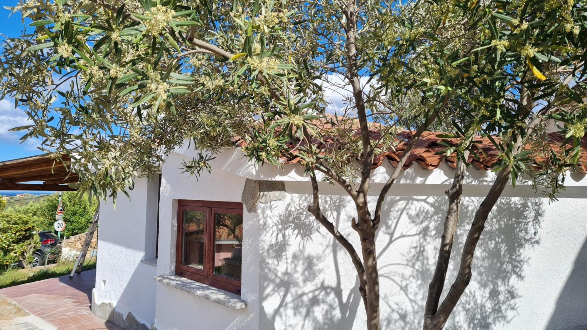 Villa Sa Mama *