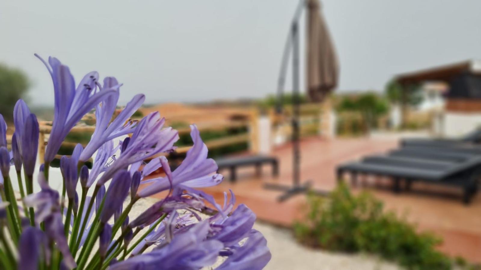 Sa Mama Villa *